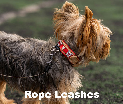 new-Rope-Leashes