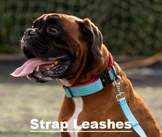 new-Strap-Leashes